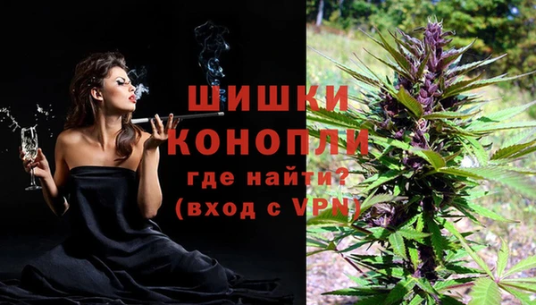 эйфоретик Гусев