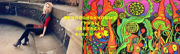 эйфоретик Гусев
